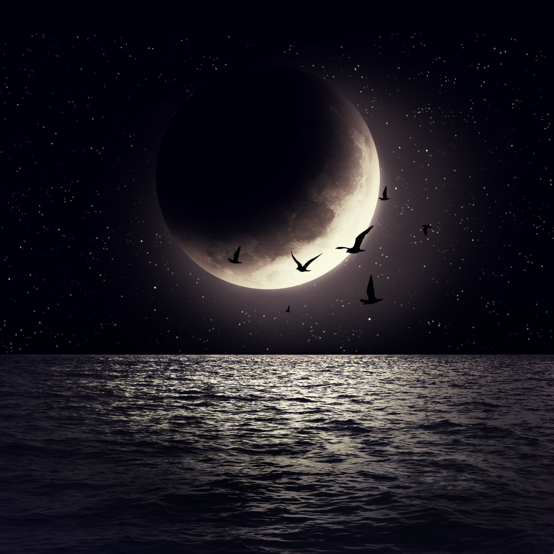 June 15th, Moon Manifestation Gathering, 5:30 PM - 7:00 PM